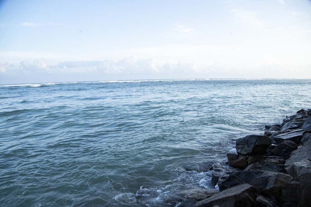 Reef Edge Restaurant Gallery Image